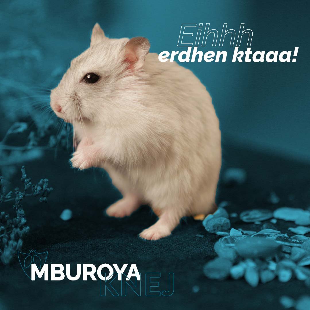 Ekipi i Mburoya