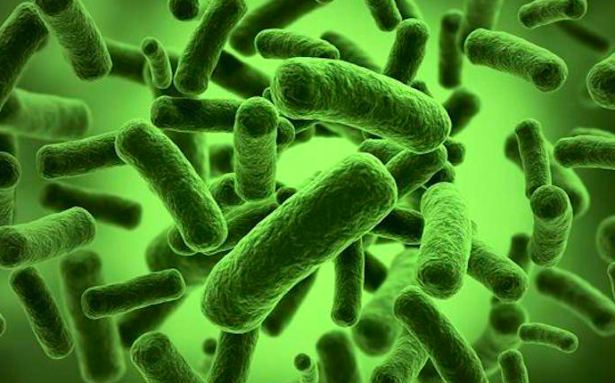 Virusët - Dezinfektim Mburoya